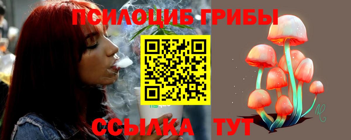 Псилоцибиновые грибы мухоморы Моршанск